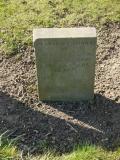 image of grave number 239666